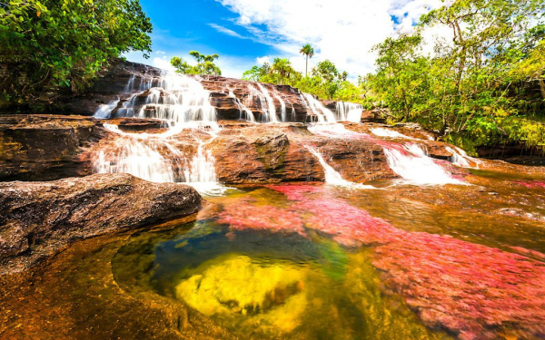 Каньо-Кристалес — самая красивая река на Земле
