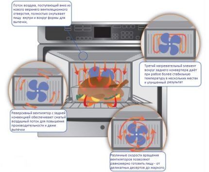 Что такое конвекция в газовой духовке и нужна ли она? Полезные советы хозяйкам по выбору и эксплуатации