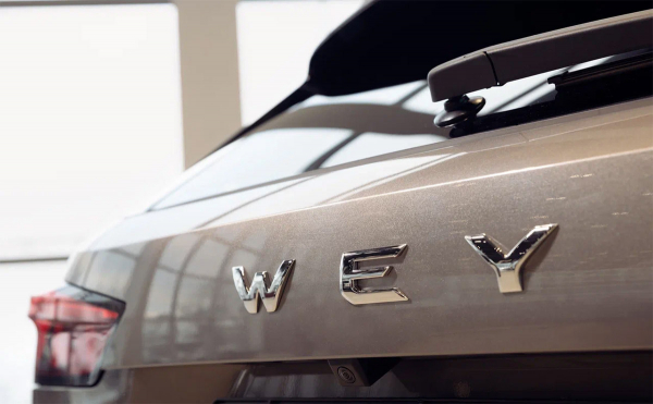 
            Вместо Lexus RX. В России стартовали продажи китайского гибрида Wey 05
        